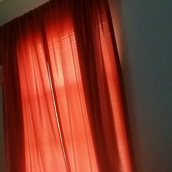 Meet your Posher, Jan - Picture 1 of 1